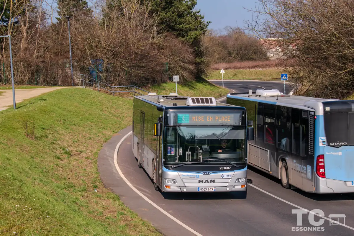 231687 - MAN Lion's City A21 (1009)